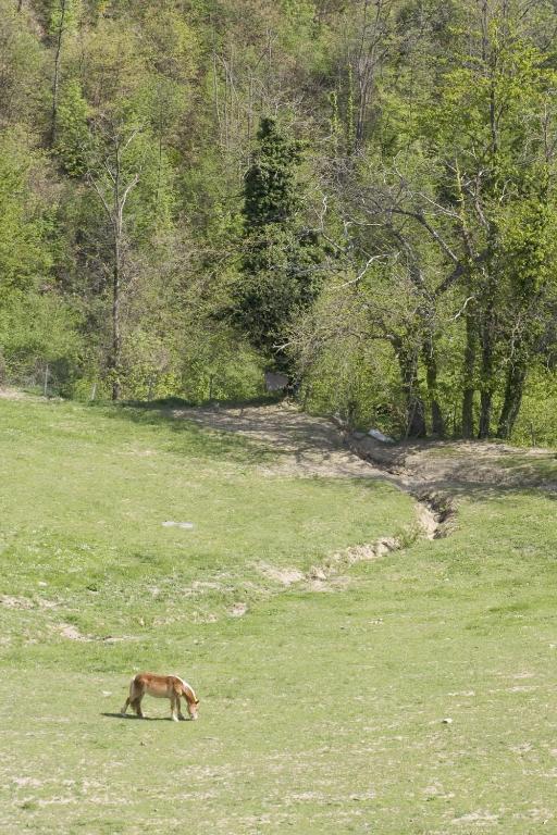 Agriturismo Rimaggiori Relaxing Country Home And Typical Italian Restaurant Barberino di Mugello Εξωτερικό φωτογραφία